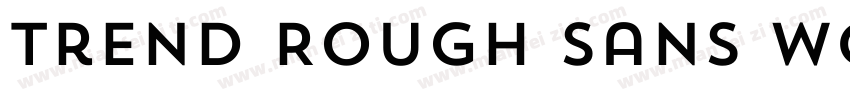 Trend Rough Sans W05 Five字体转换
